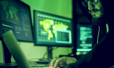 データ：政府、州、市、地方および公共